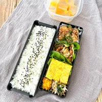 厚揚げとピーマンのとろとろそぼろ餡＆回鍋肉弁当🍱|nonoさん