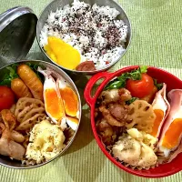 今日のヤツのお弁当（R7.6.11）| え〜かさん