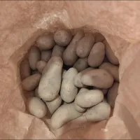 義父さん作のじゃがいも頂きました💝🤗|m.rafuさん