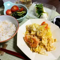 6/11晩ご飯：海老とキャベツのたまご炒め|ななみんさん