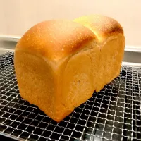 自家製酵母のライ麦食パン