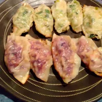 キャベツの餃子|キムコさん