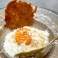 名古屋コーチンパルメジャーノTKG|きんさん