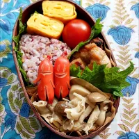 サメ弁当🦊2025.06.12|きつねさん