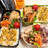 今日のお仕事&学校弁当♪2025.6.12|ぐぅさん