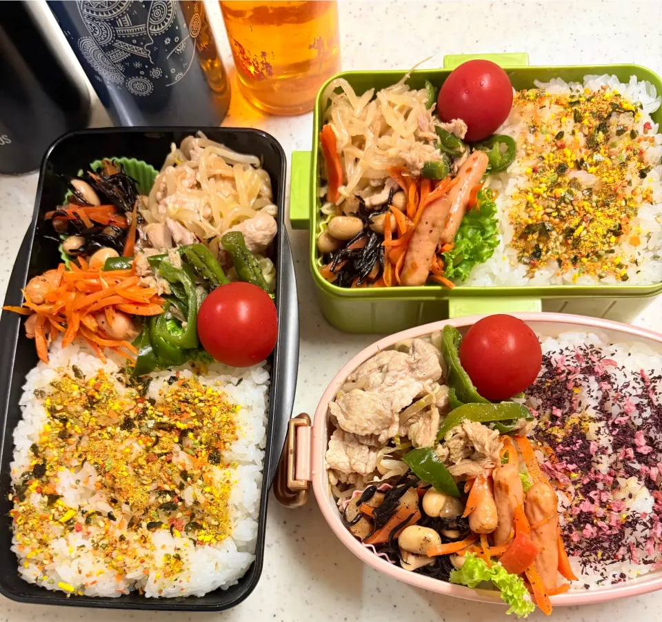 今日のお仕事&学校弁当♪2025.6.12|ぐぅさん