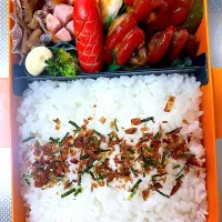 息子弁当|吉田家さん