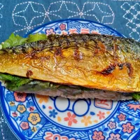 焼鯖押し寿司| よっちびやばんぶーさん