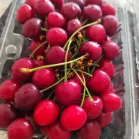 ビタミンにと頂きましたさくらんぼ|m.rafuさん