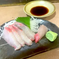刺身| T. Wonderさん