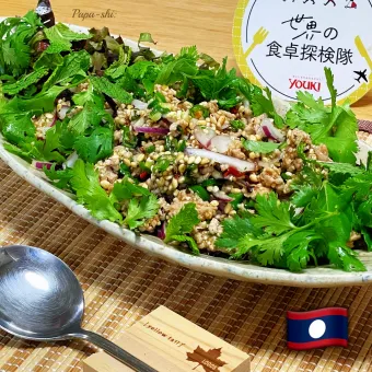 Snapdishの人気料理写真:ラープ・ムー🇱🇦