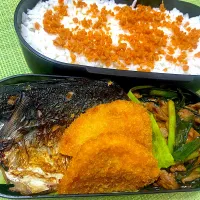 単身赴任弁当234| 単身赴任のっちさん