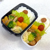 2025年6月13日お弁当🍱|もぐぷーさん