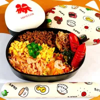 6月13日のお弁当|ぐりさん