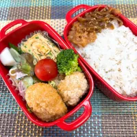 今日の旦那さんのお弁当|naoさん
