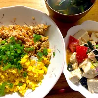 五目そぼろの二色丼、豆腐とわかめとトマトのサラダ、お吸い物🌟|kaokaoさん