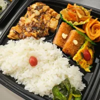 レディース弁当|景子さん