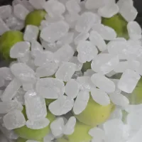 ☆梅シロップ☆氷砂糖が売り切れでやっと見つけました。|ｼｮｺﾗさん