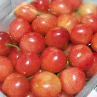 🍒今年も届きました🍒|ぱんだのままんさん