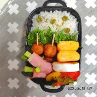 JKのお弁当＊37|sumireさん
