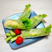 生春巻き風　ラップサラダ|もっさんさん