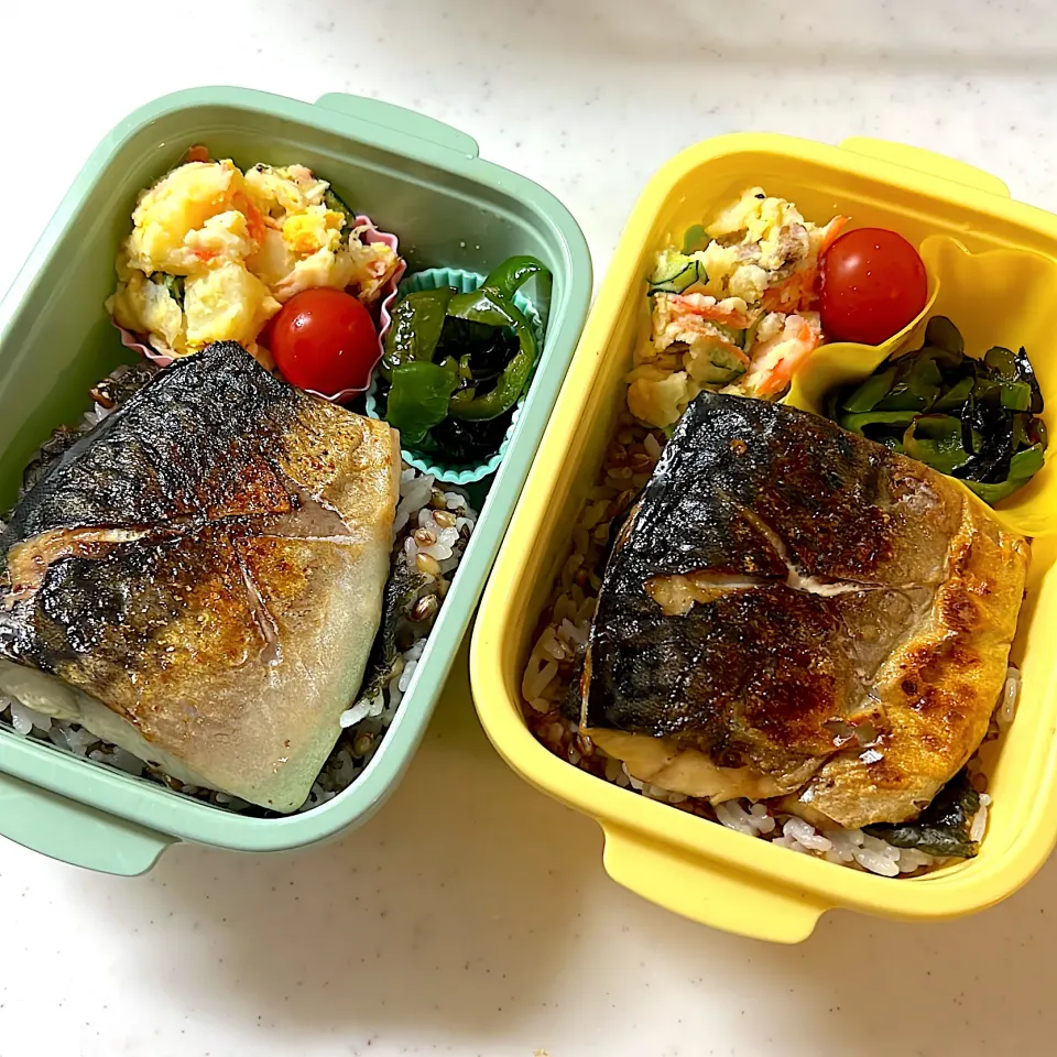 お弁当🍱|あおさん