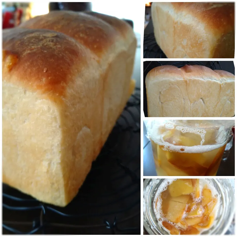 りんご酵母で山食作り|とだともさん