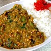 豚ひき肉とほうれん草のカレー|satoruさん