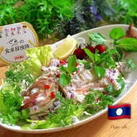 ピン・パー🇱🇦