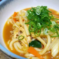 カレーうどん|ぱんだのままんさん