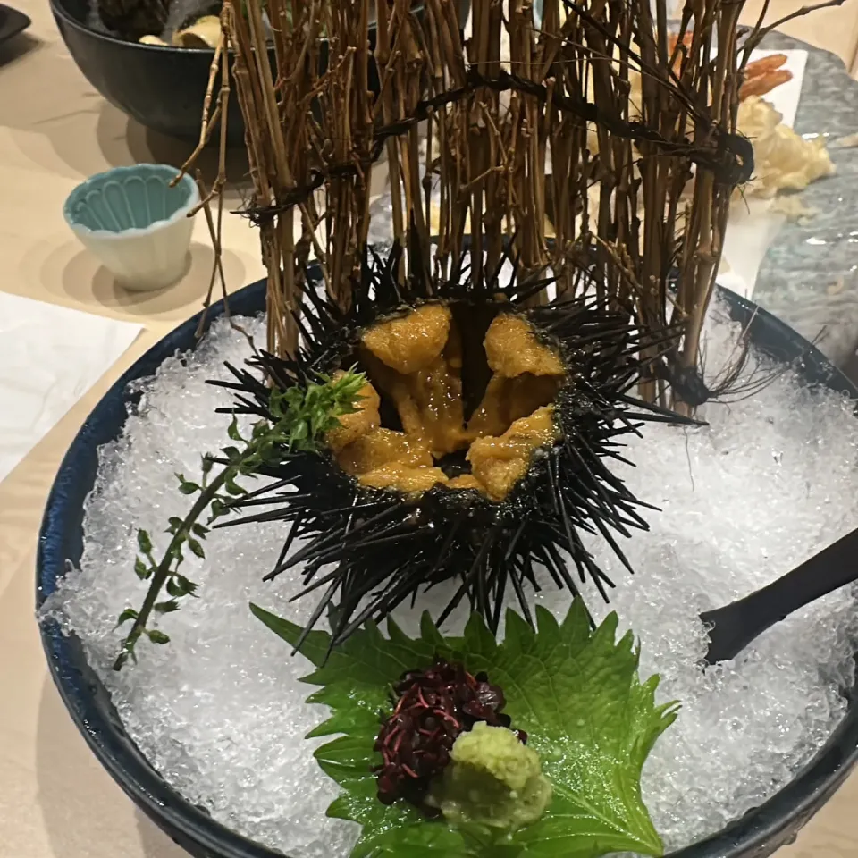 殻付きウニ|ぽんちさん