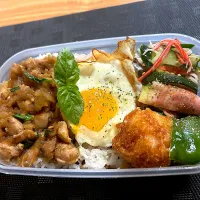 ガパオライス弁当