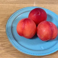 義父のすもも