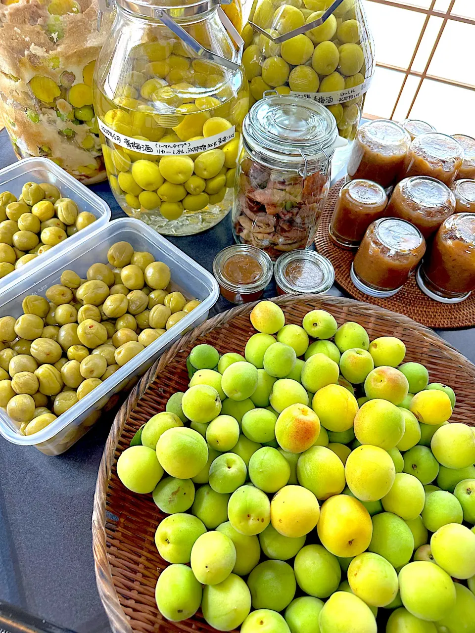 梅仕事2025|カモミールさん