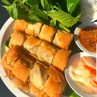Savory Spring Rolls 🤤