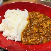 新たまねぎカレー| こどさん