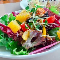 野菜サラダ🥗|Yumi☀( v^-゜)♪さん