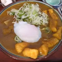 お出汁たっぷり！カレーきしめん|Ikue Sawadaさん