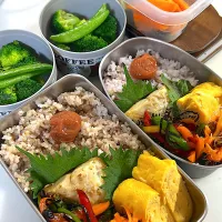 ロウカット雑穀玄米　鯖の塩焼き　だし巻き玉子　人参デーツラペ🥕カラフルピーマン塩昆布炒め🫑人参とズッキーニの糠漬け　ブロッコリー🥦スナップエンドウ🫛| まゆさん
