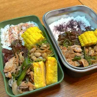 今日のお弁当|はるゆいさん