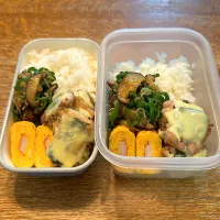 三男氏&高校生弁当|tenoaさん