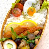 お弁当／6月16日