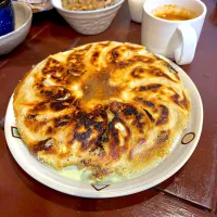 皮から手づくり餃子