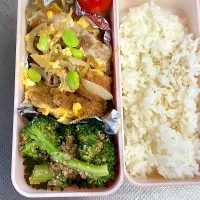 カツとじ弁当|ぱんださん