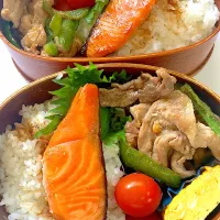 塩麹鮭と甘辛豚ピーマン弁当🍱|リラさん