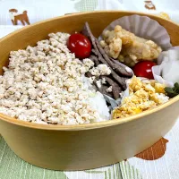 鶏そぼろご飯、焼肉、いり卵、唐揚🍱|なお🅿️さん