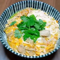 【自作安定ド定番🎯】俺のシリーズ！親子丼（ひと手間でご家庭で楽しむ方法✨）|Falco*さん