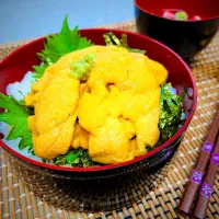 「ウニ丼」|バシュランさん