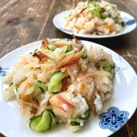 さめの干物と夏の香味野菜でさっぱりちらし