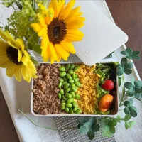 6/2❤︎主人の三色そぼろ弁当🌱

＊ 鶏そぼろ
＊ たまごそぼろ
＊ 塩茹で枝豆🫛
＊ カレー男爵コロッケ
＊ ナポリタンパスタ
＊ ほうれん草の胡麻和え| Makinsさん
